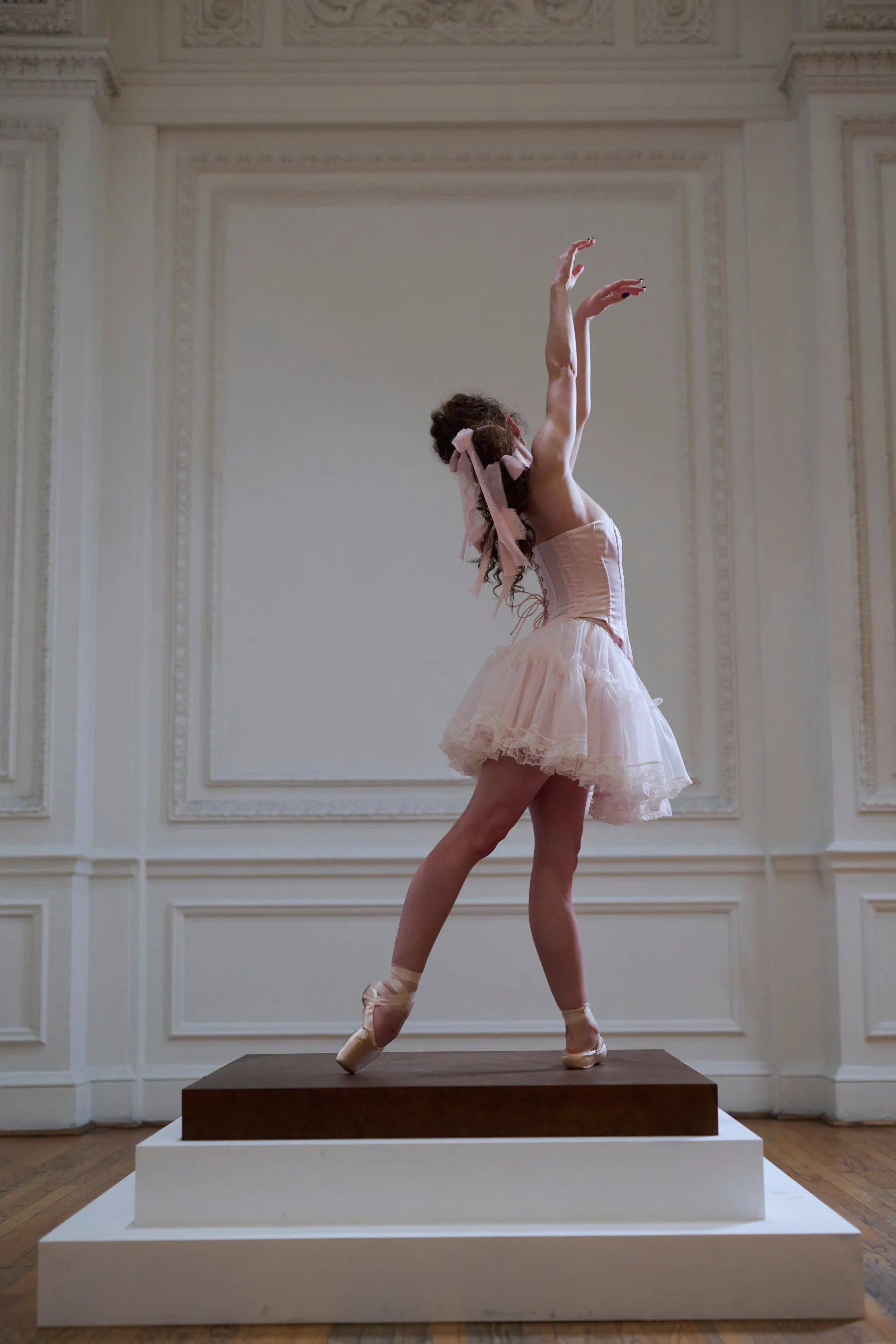 En Pointe Ballet Tutu